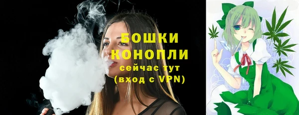 сатива Магас