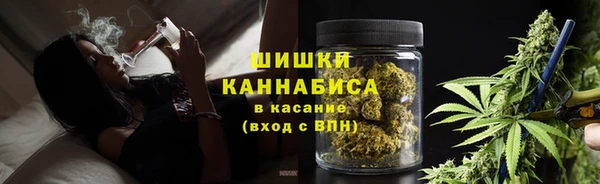 PSILOCYBIN Мегион
