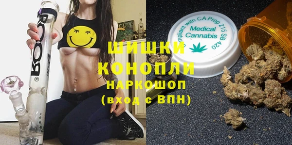 ПСИЛОЦИБИНОВЫЕ ГРИБЫ Медногорск