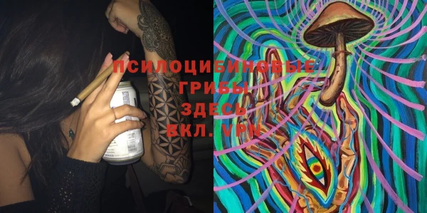 PSILOCYBIN Мегион