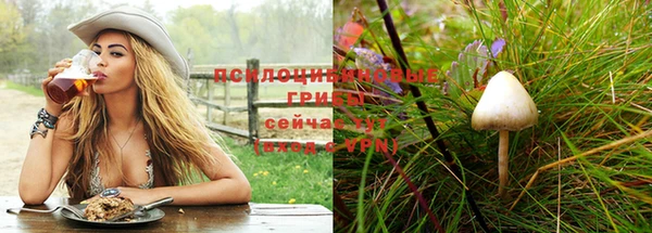 ПСИЛОЦИБИНОВЫЕ ГРИБЫ Медногорск
