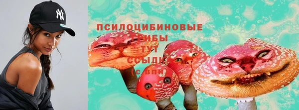 дмт Тавда