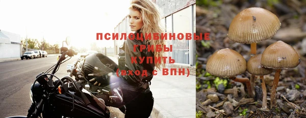 ПСИЛОЦИБИНОВЫЕ ГРИБЫ Медногорск
