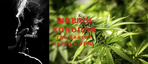 PSILOCYBIN Мегион