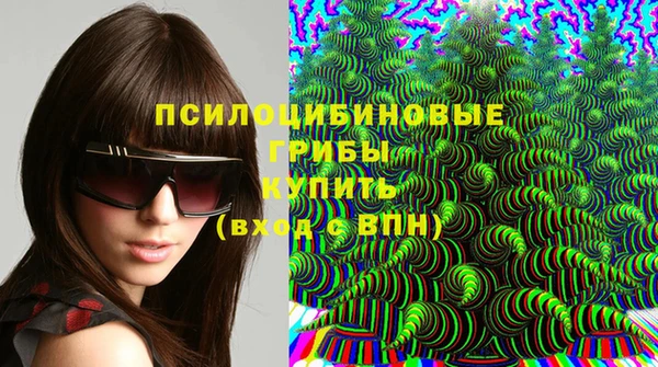 PSILOCYBIN Мегион
