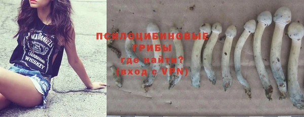 ПСИЛОЦИБИНОВЫЕ ГРИБЫ Медногорск
