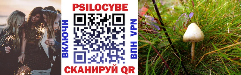 Галлюциногенные грибы мицелий  Чехов 